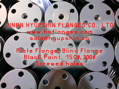 Blind Flange ANSI B16.5, Class150 Class300, Forging Flange