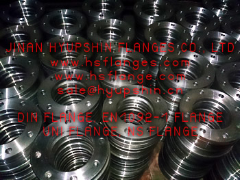 EN1092-1/01 DN15-1500 PLATE FLANGE, PN6-40 FORGED FLANGE