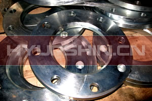 EN1092-1 TYPE 02 FORGED FLANGE, DN15-1500 LOOSE FLANGE, ASTM A105