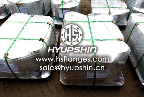 export carbon steel blind flanges, DIN forging PN16 blind RF flanges