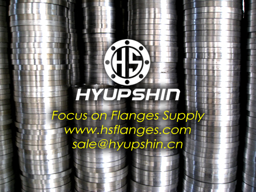 ManufactureDIN2527 blind flanges, PN6-40 BLRF BLFF forging flanges,  Plywood Palltes packing