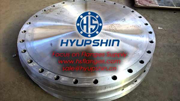 export high quality BS standard carbon steel blind RF flanges
