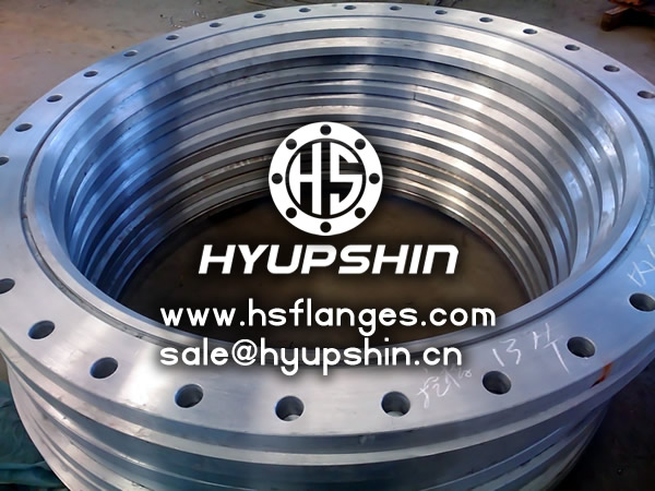 Manufacturer HYUPSHIN WELDING NECK 1500# FLANGES SUPPLIER