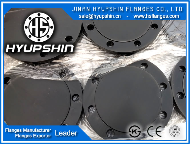 sale bs10 table D forging carbon steel blind RF flange