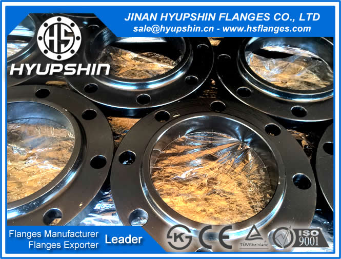 Hyupshin Supply ANSI B16.5 SLIP ON   WNRF ASTM A105 A181 150 300