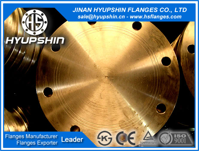 Hyupshin Supply Steel Flanges EN1092-1 ANSI B16.5 JIS B2220 KS B1503 BS4504 SANS1123